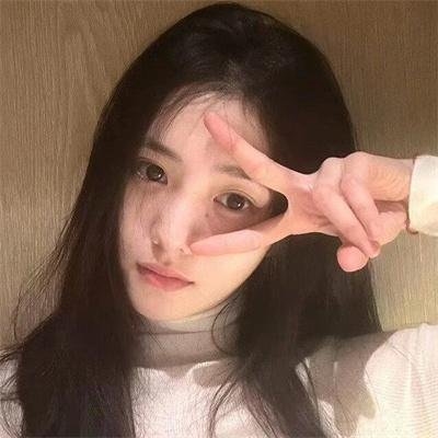 再见了,亲爱的总统