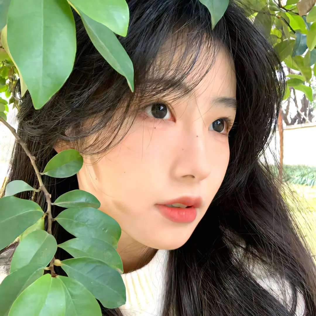 拜托了,花戎少女